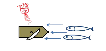 [ img - raft+fish1.png ]